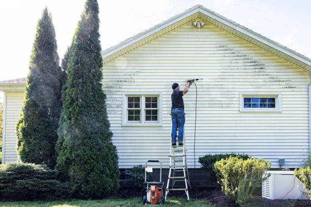 Best Deck Cleaning Services  in Fairfax, VA