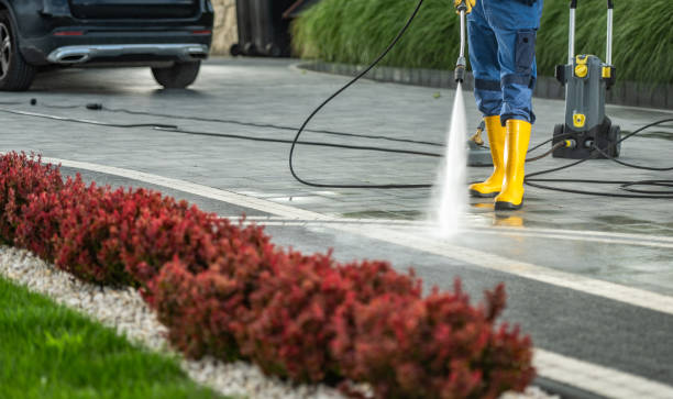 Best Local Pressure Washing Services  in Fairfax, VA